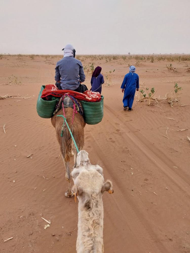 Témoignage Mai 2024 - En famille Touareg Expédition